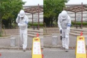 確認調査